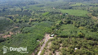 Rút gọn thủ tục để xây cầu Mã Đà và tuyến giao thông kết nối tỉnh Bình Phước