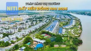 Toàn Cảnh Thị Trường Đất Nền Đồng Nai 2026: Biến Động Giá & Điểm Nóng Hạ Tầng