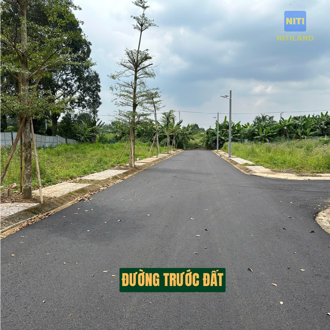 Hạ tầng đường nhựa hoàn thiện vỉa hè cây xanh tại khu đất gần sân bay Long Thành