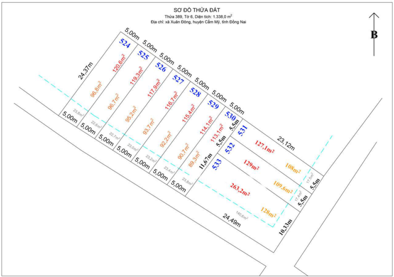 Sơ đồ phân lô Đất Nền Cẩm Mỹ giá rẻ