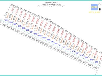 Sơ đồ phân lô đất nền Cẩm Mỹ-Xuân Đông