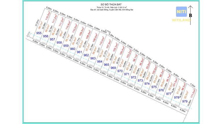 Sơ đồ phân lô đất nền Cẩm Mỹ-Xuân Đông