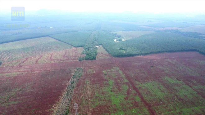 đấu giá đất tại Đồng Nai năm 2026 quý II tiến độ triển khai