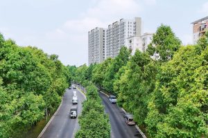 đô thị Đồng Nai hướng đến đích Net zero khu đô thị cây xanh phường Trấn Biên