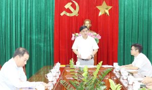 Thành ủy viên, Phó Chủ tịch UBND thành phố Đồng Nai phát biểu kết luận dự án tái định cư